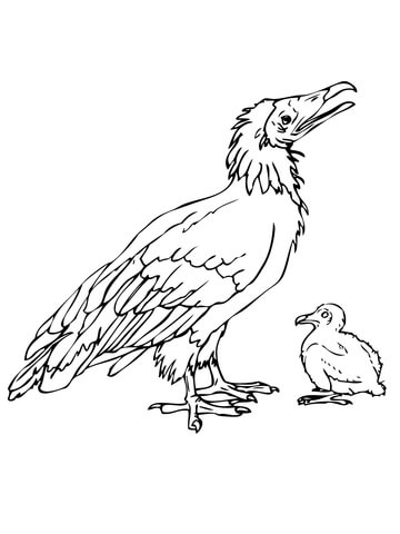 Dodo Bird With Chick Coloring Page